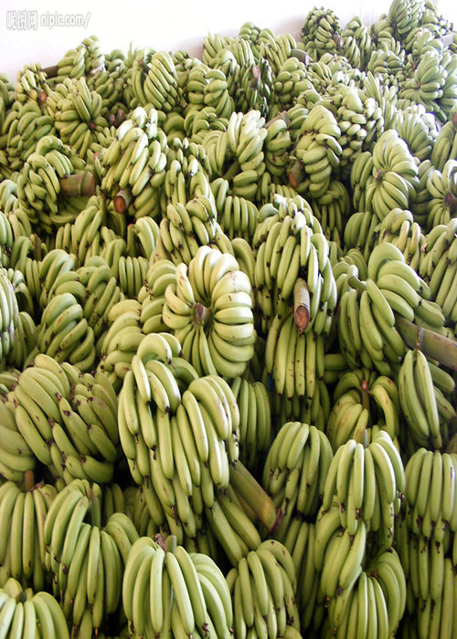 Cheliertes Kalziumbor-Blatt- Düngemittel für Reis, Bananen-Blatt- Düngemittel 4