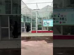 Sichuan Shihong Aminosäurenfabrik - Lulu