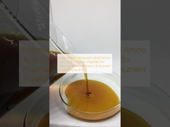 Enzymatisch hydrolysierte flüssige Aminosäure 50%