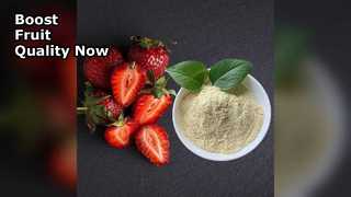 Organischer Kalziumdünger steigert den Fruchtertrag