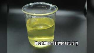 Hydrolysiertes pflanzliches Protein HVP Premium Umami Enhancer