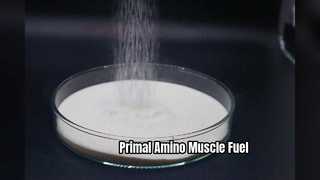 Wiederherstellung des Amino-Muskelwachstums von Primal Animal