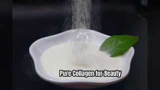 Reine Kollagenpeptide für Haut und Gelenke