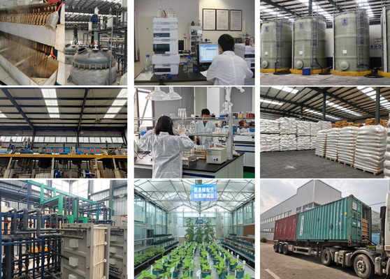 Hydrolyzed Compound Amino Acid Powder 80% Organic Foliar Fertilizer Manufacturer 14-0-0