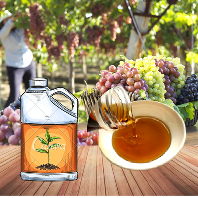 Liquid Amino Acid Foliar Fertilizer Peptides Chelate ZnMnBMo 550g/L For Agricultural Farm