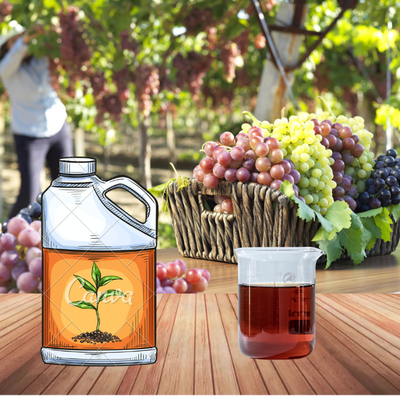 Liquid Amino Acid Foliar Fertilizer Peptides Chelate ZnMnBMo 550g/L For Agricultural Farm