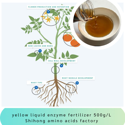Enzyme Amino Acid N8-0-0 Organic Liquid Foliar Fertilizer Peptides Biostimulants for Plant