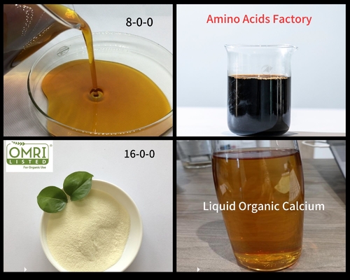 Agriculture Amino Acid Powder 45% 65% 80% Organic Nitrogen Fertilizers