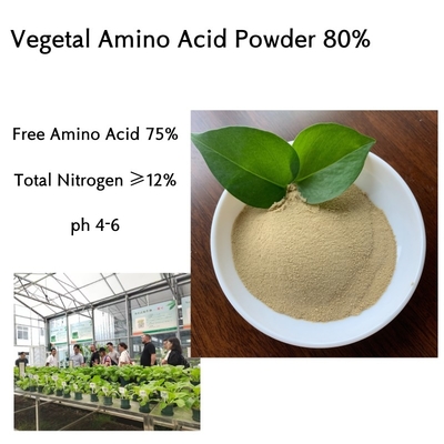 Ph4-6 Amino Plus Foliar Fertilizer Agricultural Fertilizers Free Amino Acid 75%
