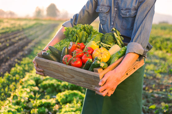 OMRI Listed Organic Amino Acid Fertilizer with 80% Amino Acid Content and 16% Organic Nitrogen for Sustainable Farming