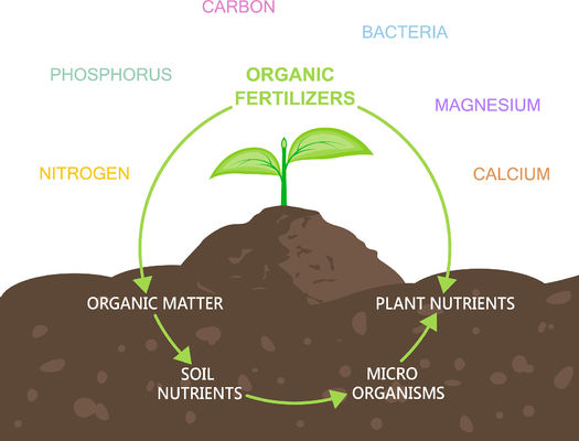 OMRI Certified Organic Amino Acid Powder with 16% Organic Nitrogen and 80% Bioactive Amino Acids for Sustainable Agriculture