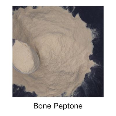 Enzymatic Hydrolysis Shihong-Peptone N 15% Yellow Powder Natural Biostimulant Fertilizer Raw Material