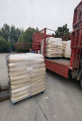 Food-Grade Hydrolyzed Vegetable Protein HVP - Water Soluble Umami Flavor Enhancer for Food Manufacturing