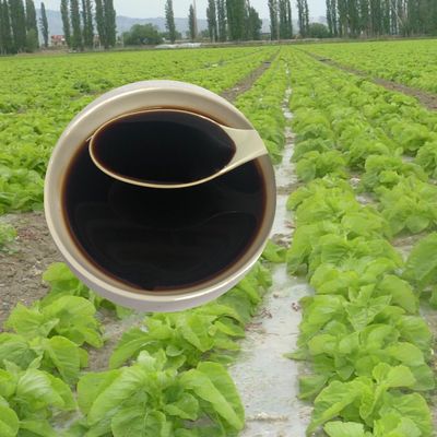 Soybean Source Hydrolysate Protein Amino Acid Liquid 30% Agricultural Fertilizer