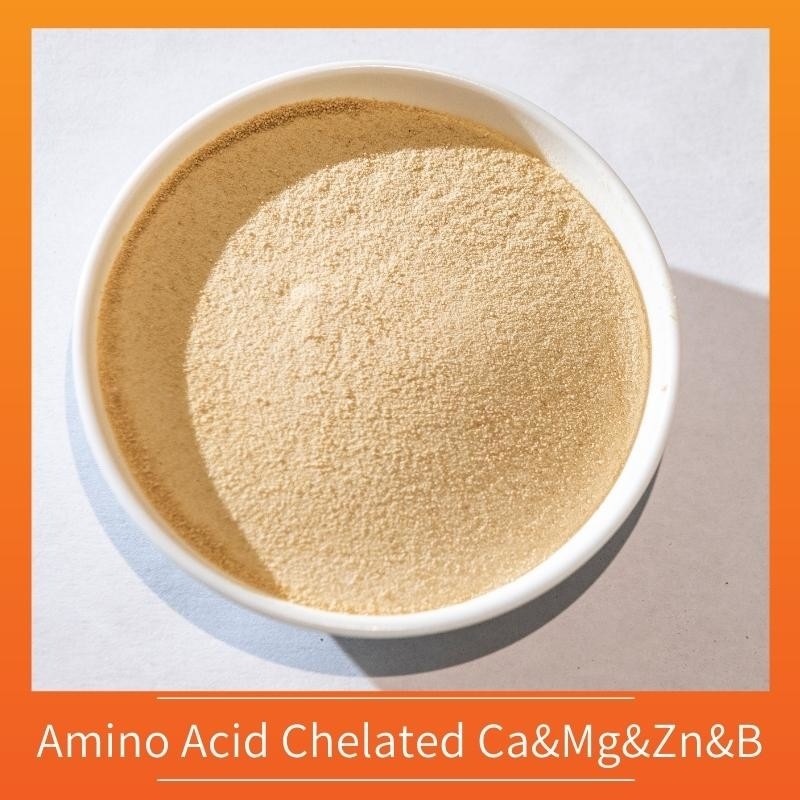 Ca Mg Zn B Amino Acid Chelated Micronutrients Fertilizer Yellow Powder