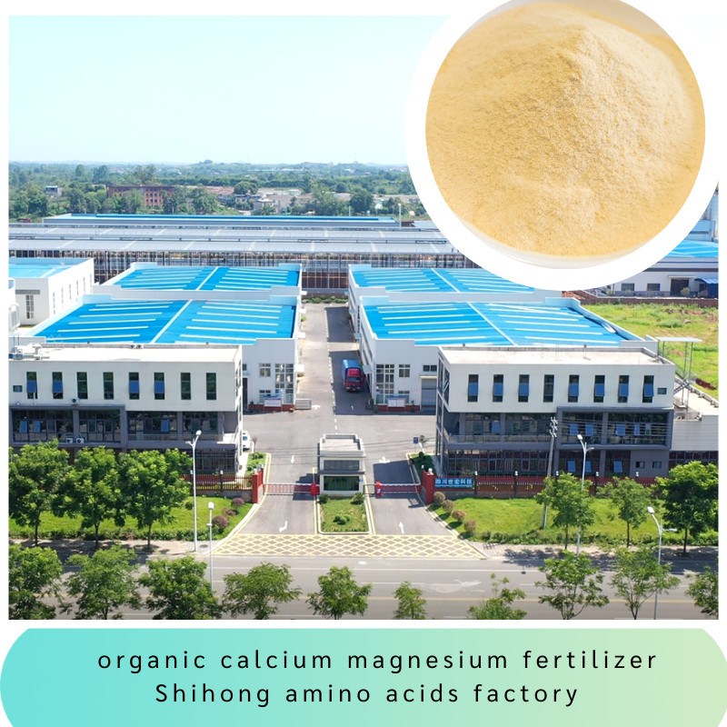 Amino Acid Chelated Micronutrients Calcium Magnesium With Soluble In Water
