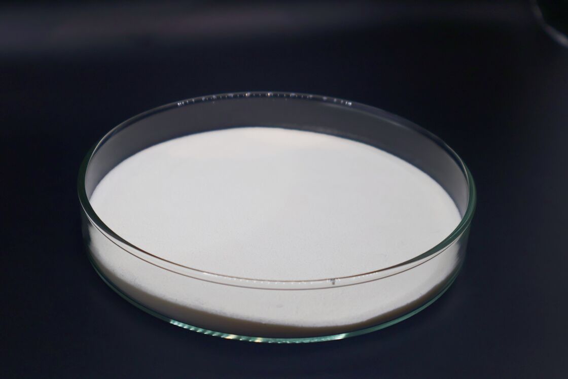Shelflife 24 Months Collagen Peptide Food Grade Protein 90 Percent Raw Material for Nutritional and Cosmetic Applications