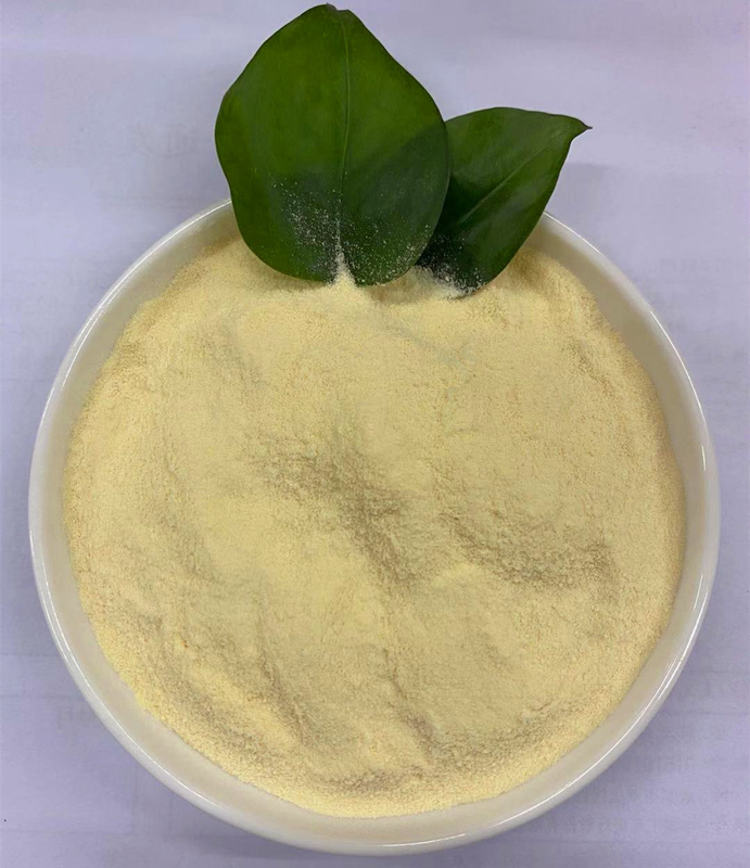 Hydrolyzed Plant Source Amino Acid Powder 80% Organic Nitrogen Fertilizer